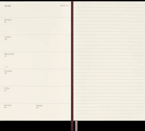 Agenda edición limitada Wizarding World Harry Potter Moleskine 31x13cm