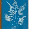 Anna Atkins Cyanotypes