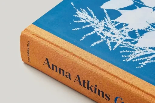 Anna Atkins Cyanotypes