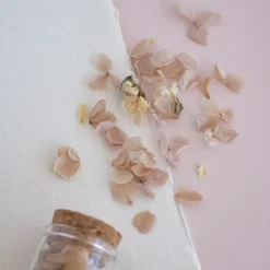 Botella de Cristal 15gr Flores Secas Mix II Wax it Lora Bailora