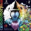 Caleidomorphia Maravillosos efectos visuales para colorear