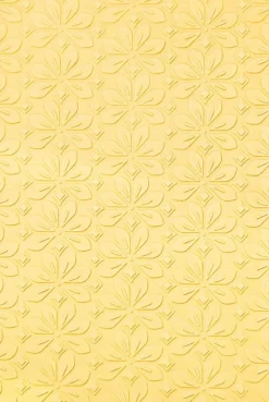 Carpeta de texturas Flower Power Sizzix 665747