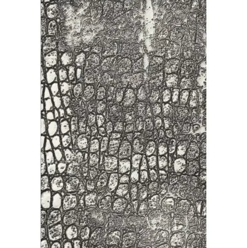 Carpeta de texturas Reptile Sizzix 666296