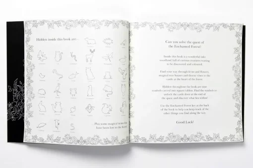 Enchanted Forest An Inky Quest and Coloring Book