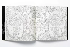 Enchanted Forest An Inky Quest and Coloring Book