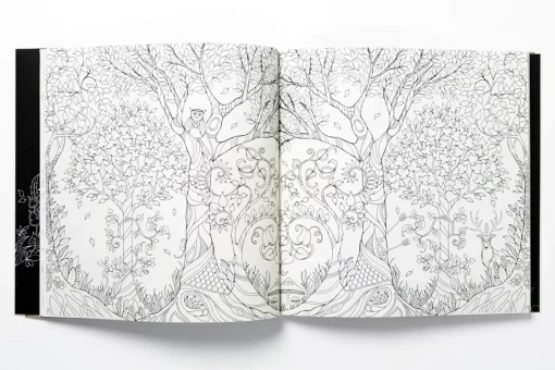 Enchanted Forest An Inky Quest and Coloring Book