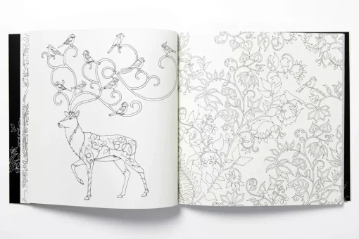 Enchanted Forest An Inky Quest and Coloring Book