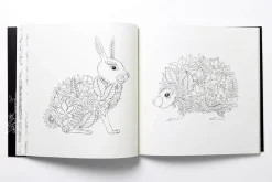 Enchanted Forest An Inky Quest and Coloring Book