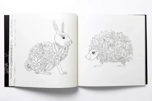 Enchanted Forest An Inky Quest and Coloring Book