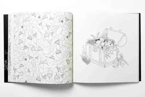 Enchanted Forest An Inky Quest and Coloring Book
