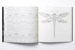Enchanted Forest An Inky Quest and Coloring Book