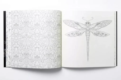 Enchanted Forest An Inky Quest and Coloring Book