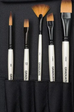 Estuche con cremallera y 10 pinceles Daler Rowney