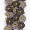 Flores Mattina Mulberry de papel Little Birdie