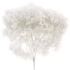 Flores secas Hortensia Blanca Artemio