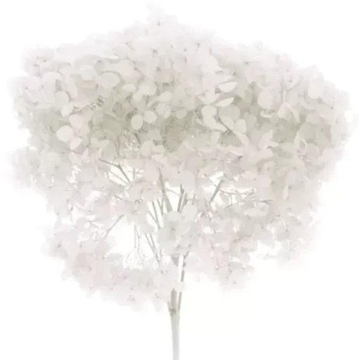 Flores secas Hortensia Blanca Artemio