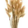 Flores secas Lagurus Natural Artemio