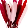 Kit 28 Plumas Rojo Y Rosa Artemio