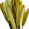 Kit 28 Plumas Verde Artemio
