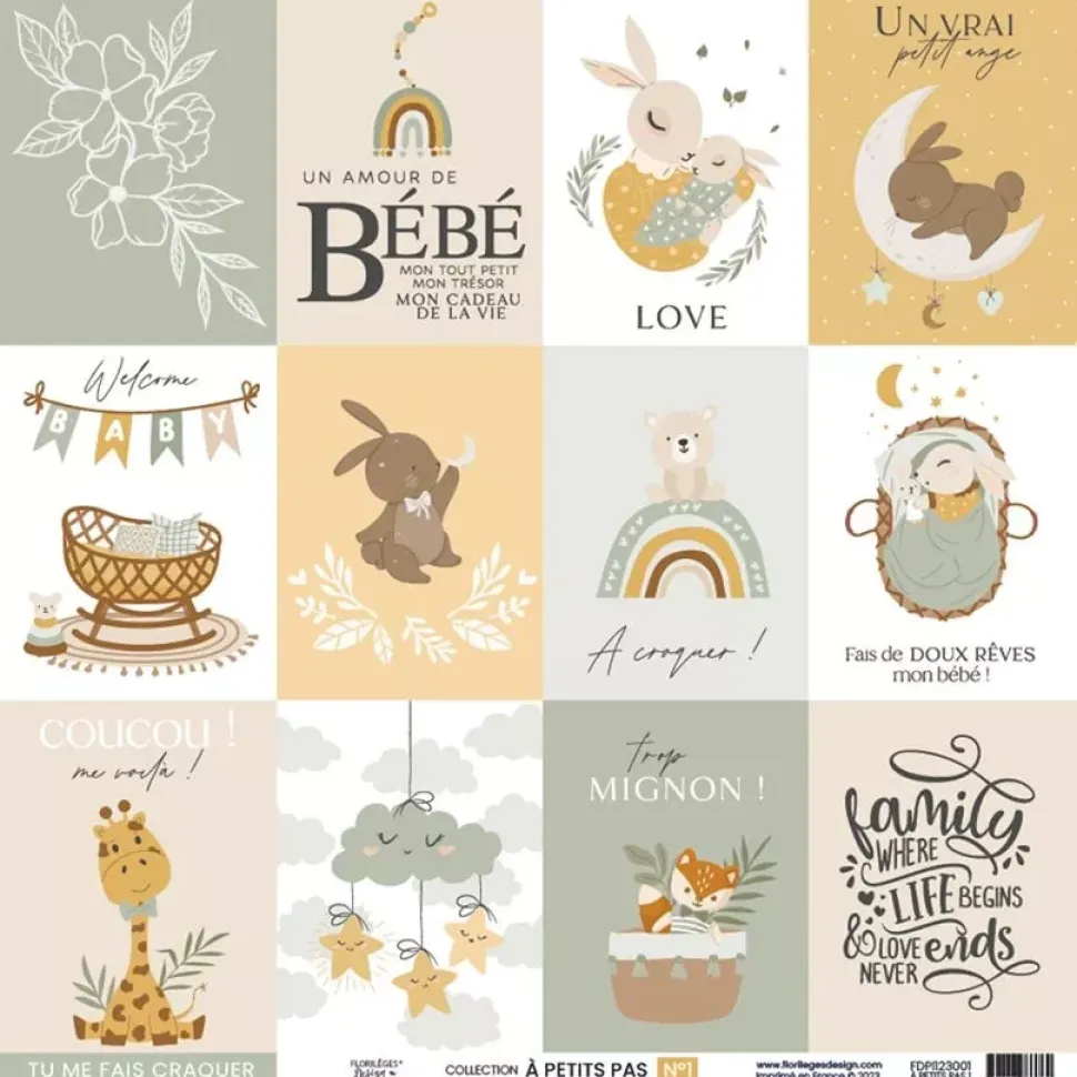 Kit de scrapbooking À Petits Pas Boy Florilèges Design 30x30cm