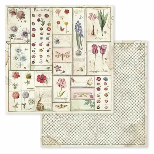 Kit de Scrapbooking Spring Botanic Stamperia 30x30cm