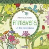 Mandalas de las Estaciones Primavera