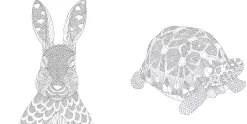 Millie Marotta's Animal Kingdom pocket colouring