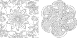 Millie Marotta's Tropical Wonderland pocket colouring