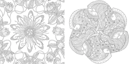 Millie Marotta's Tropical Wonderland pocket colouring