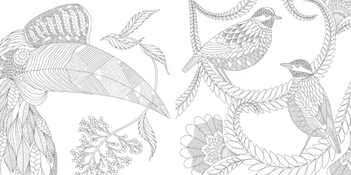 Millie Marotta's Tropical Wonderland pocket colouring