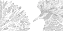 Millie Marotta's Tropical Wonderland pocket colouring
