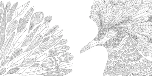 Millie Marotta's Tropical Wonderland pocket colouring