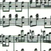 Papel Musica negra Tassotti