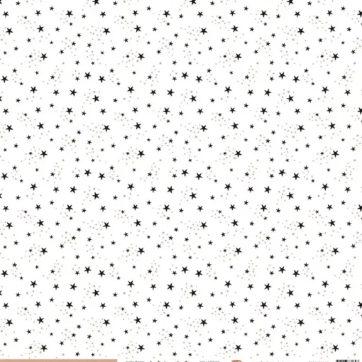 Papel Vellum Magia Enchantement Florilèges Design 30x30cm