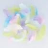 Plumas de colores Rainbow