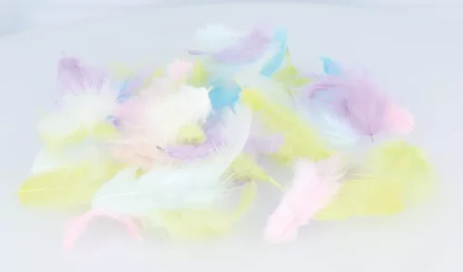 Plumas de colores Rainbow