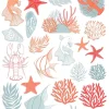 Rub-On Corail Artemio