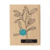 Sello de madera Rama de muérdago Florilèges Design