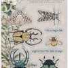 Sellos transparentes Beetles The Emporium Craft Consortium