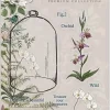 Sellos transparentes Botany The Emporium Craft Consortium