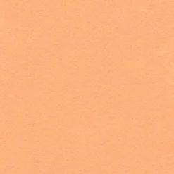 Set 2 Fieltros Salmón Craftelier 30x30cm