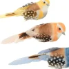 Set 6 Pájaros Con Pinza Artemio