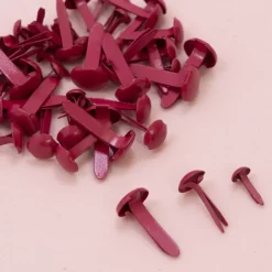 Set de 50 Brads Apple Craftelier