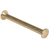 Set de 4 Pernos de Metal Con Tornillo Dorado Rayher