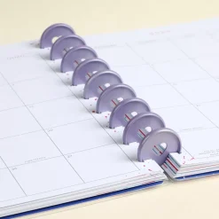 SUPER OFERTA **40%** Anillas Metálicas M Whisteria Pearl Powder Para Happy Planner