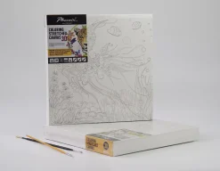SUPER OFERTA **50%** Lienzo sobre bastidor 3D para colorear Loro Phoenix 30x30cm