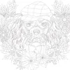 SUPER OFERTA **50%** Lienzo sobre bastidor para colorear Perro Phoenix 30x30cm