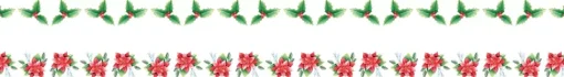 SUPER OFERTA **40%** Set 2 washi tapes Hojas Christmas Berries Artemio