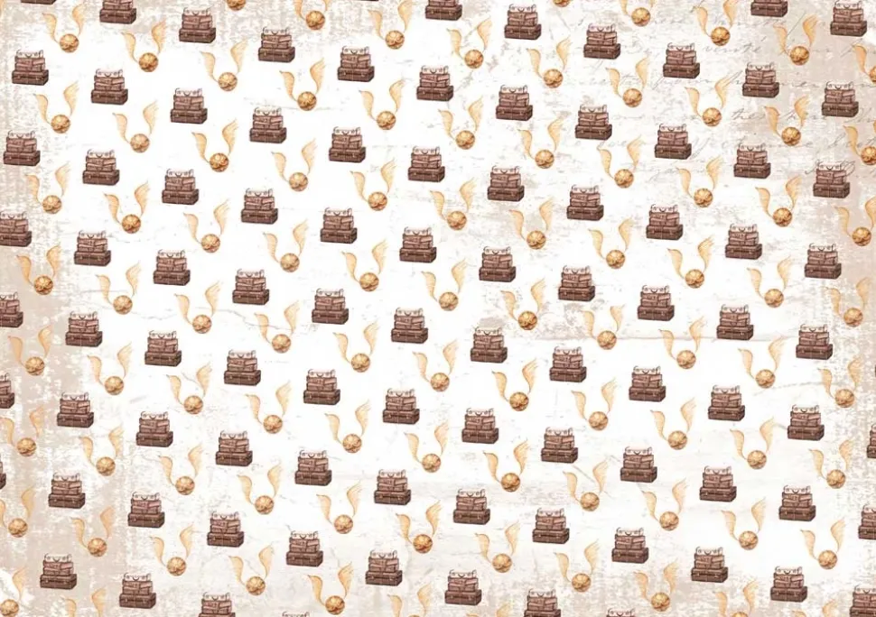 Tela de encuadernar Maletas Wizarding Adventure III PapersForYou 70x50cm